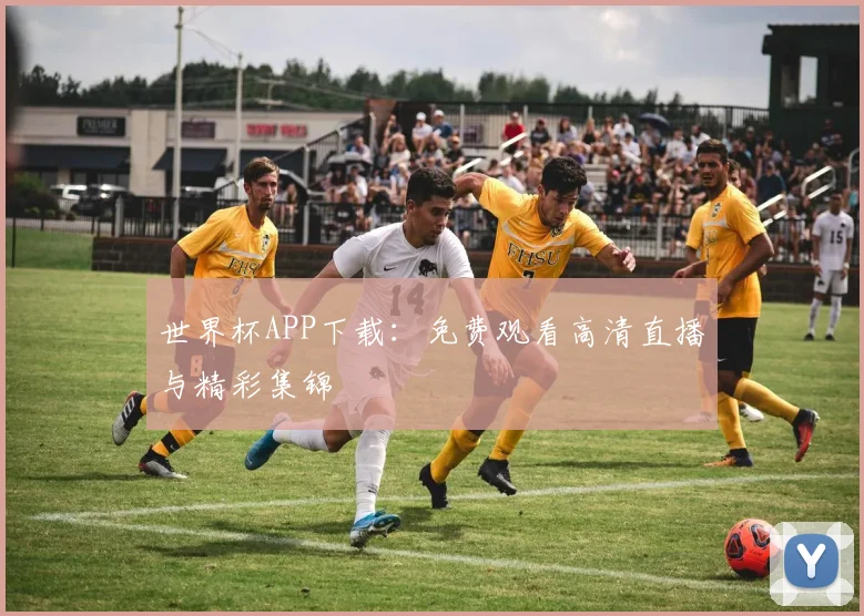 世界杯APP下载：免费观看高清直播与精彩集锦