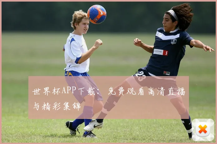世界杯APP下载：免费观看高清直播与精彩集锦