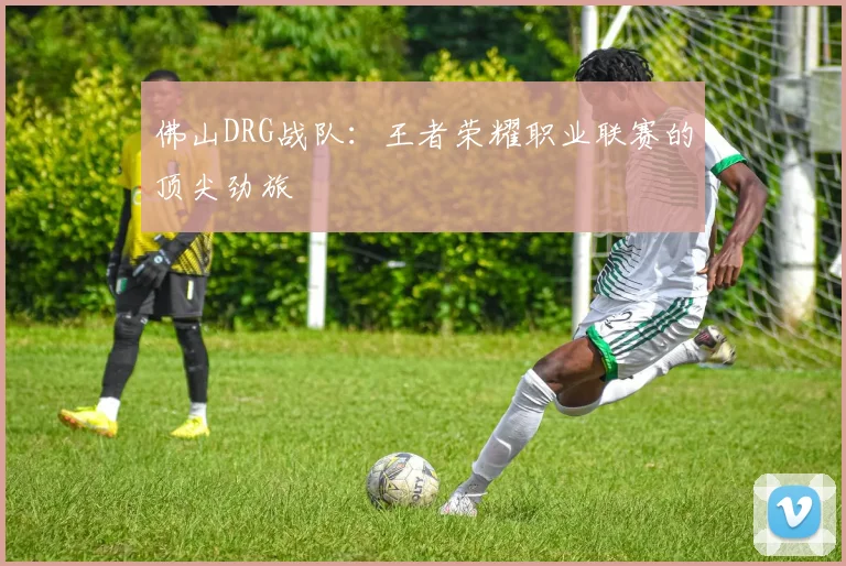佛山DRG战队：王者荣耀职业联赛的顶尖劲旅