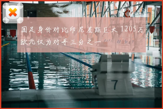 国足身价对比印尼差距巨大 1205万欧元仅为对手三分之一